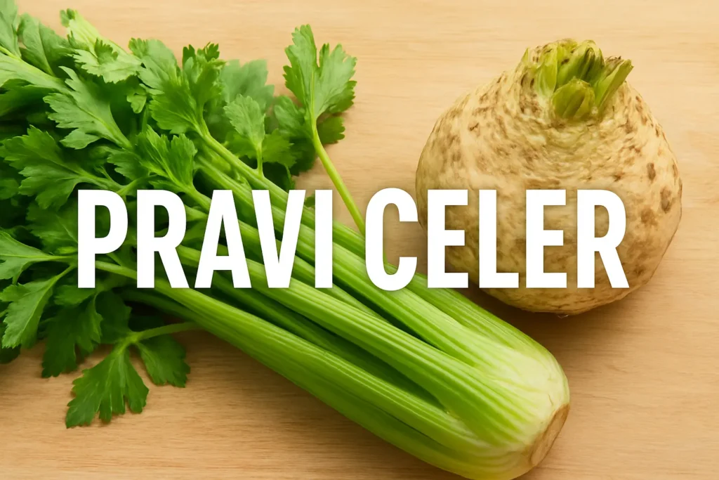 pravi celer